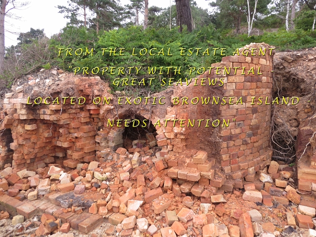 16 07 15_6025_edited-1.jpg - BROWNSEA BRICK WORKS - 16.7.15